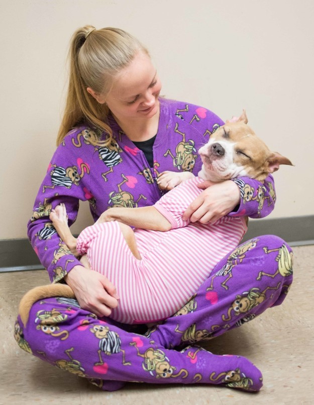 Shelter dog in pjs image